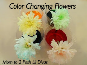 Mom to 2 Posh Lil Divas: 15 Favorite Science Experiments for Kids