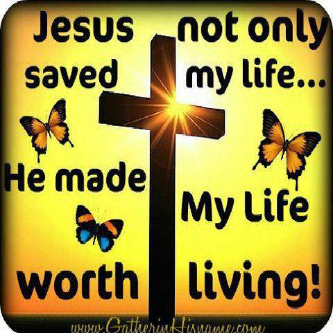 HE LIFE he life: