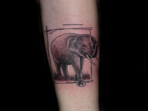  New Elephant Tattoo for Arm 2011 Best Tattoos Design of Elephant 