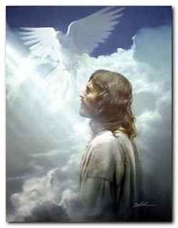 Holy spirit photo of Jesus with white dove