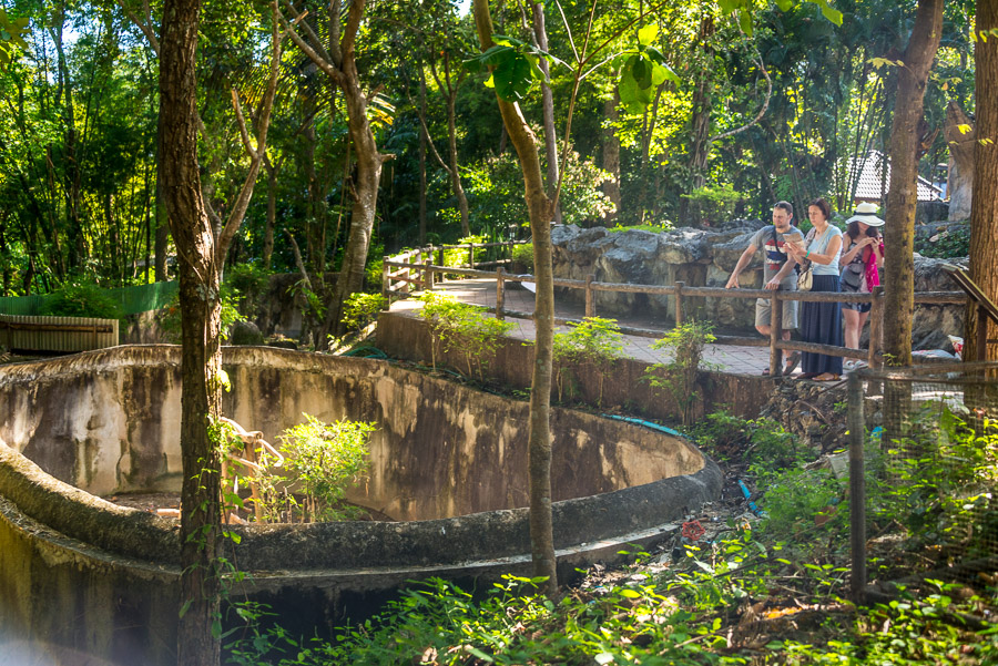 Chiang Mai Zoo. Part Two