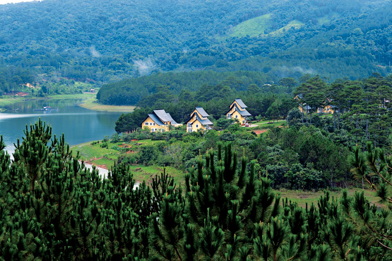 Ho Tuyen Lam In Bong Rung Thong