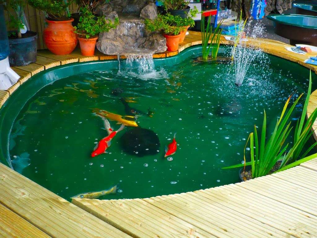 Desain Membuat Kolam ikan Minimalis ~ Gambar Rumah Idaman