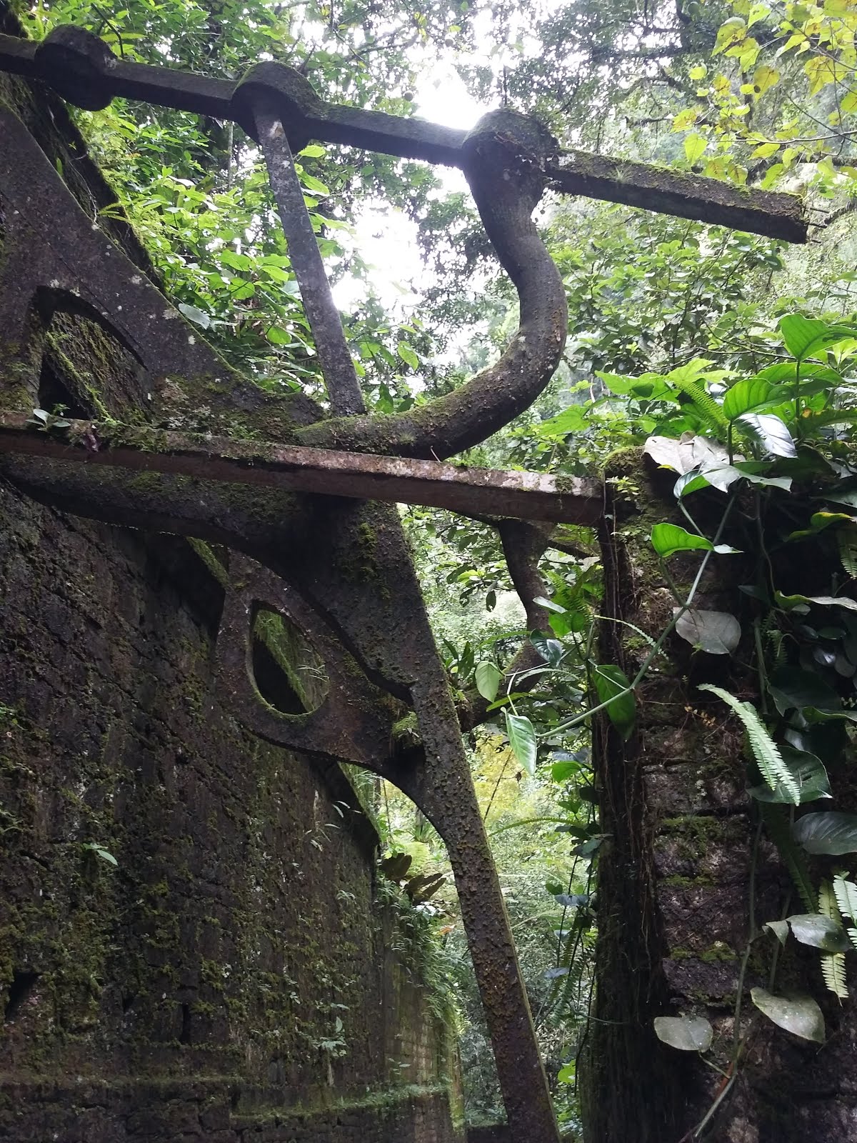 Las Pozas, Jardin escultorico de Edward James.