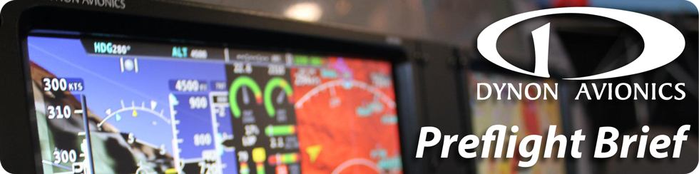 Dynon Preflight Brief
