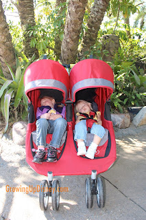 disney stroller rental