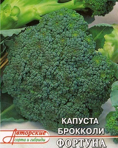 Удобрения для картофеля: осенью, весной, при посадке и для роста Удобрение картофеля: подкормки, внесение при посадке весной и