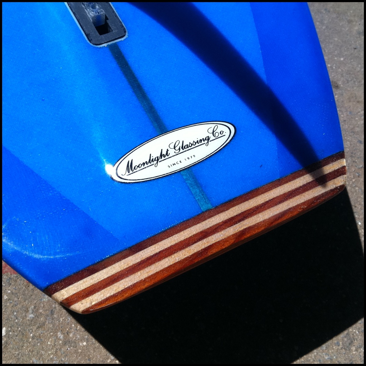 Classic California Longboard Surfy Surfy
