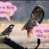 काही मजेशीर व्याख्या.....वाचून बघाच हा फालतूपणा
