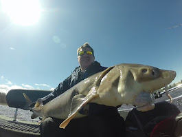 Rainy River Lake Sturgeon