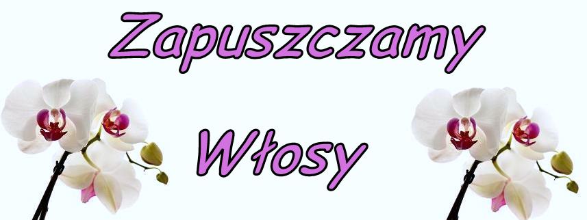 Zapuszczamy Włosy