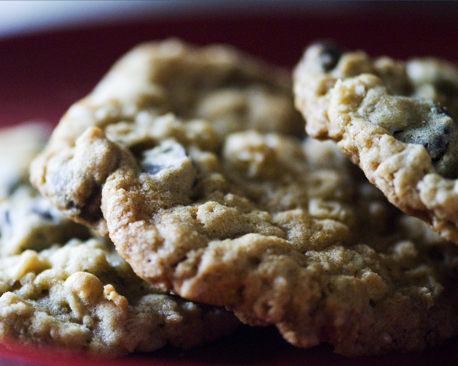 Stella Blue's Foodgasm Dark Chocolate Oatmeal Cookies