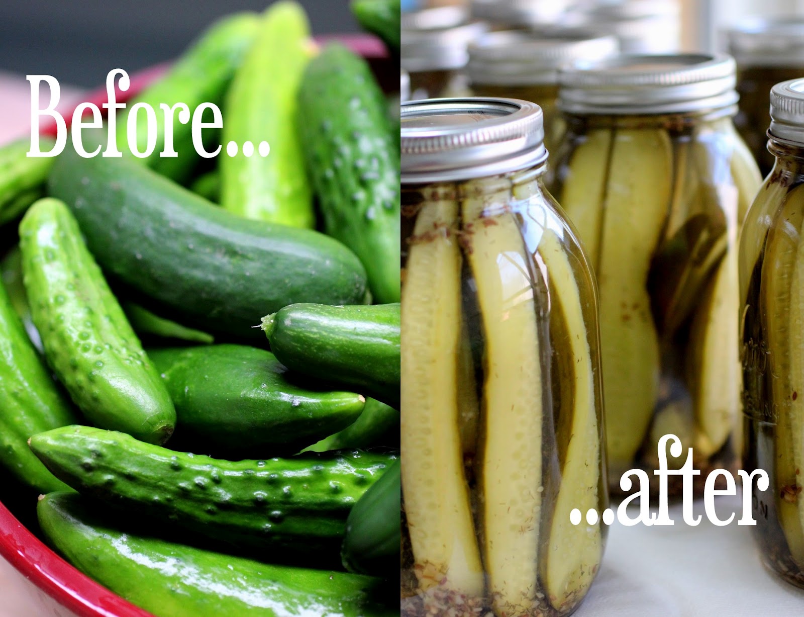 The Freckled Fox Pickles in Jars. a recipe