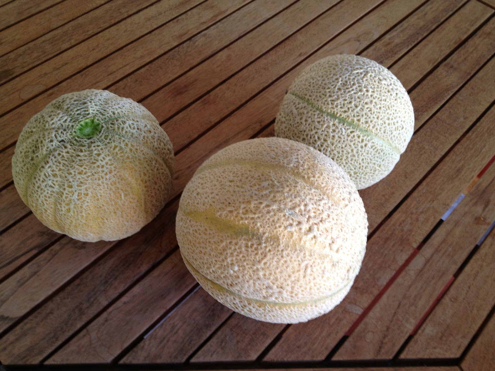 How Does My Garden Grow? Melons. Tuscan and Galia