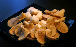 Hongos o setas hongos-setas