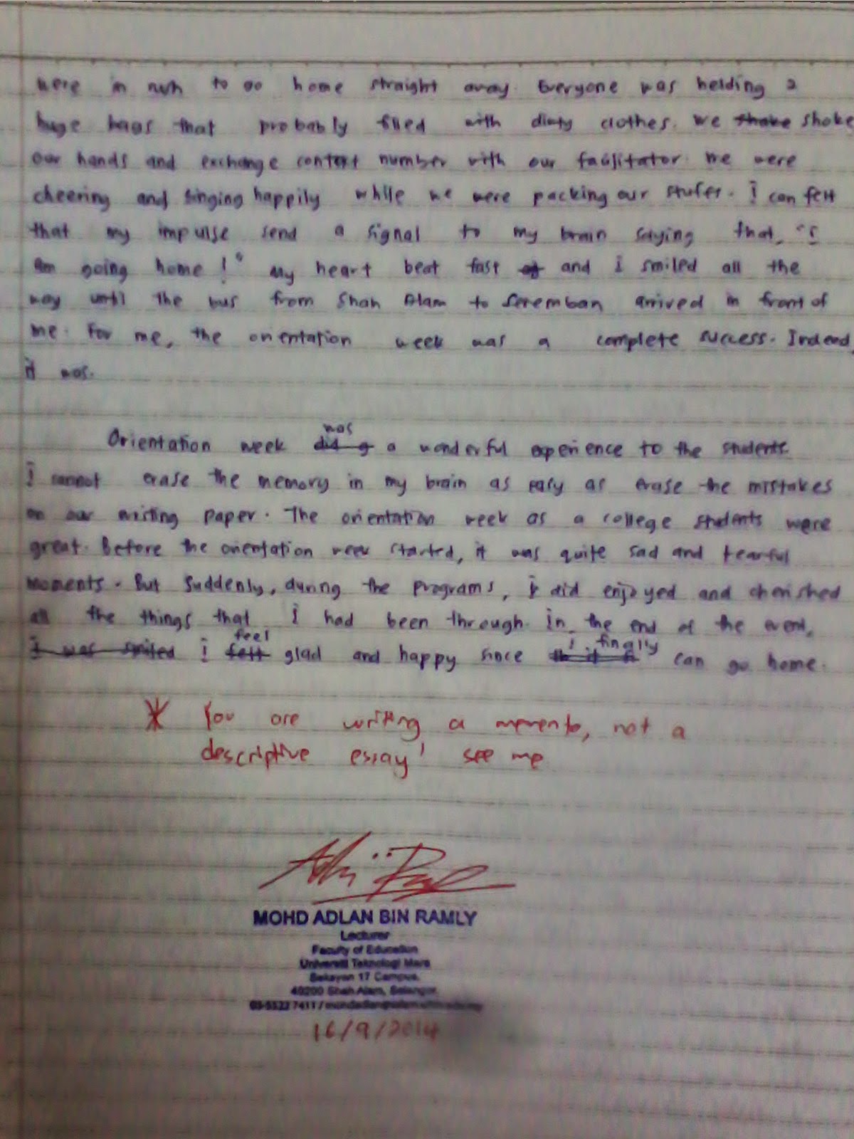 Exemplification essays