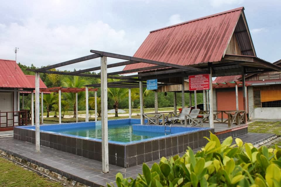 KUALA SEPETANG ECO TOURISM Matang Mangrove Forest Reserve Tour, Bird