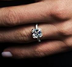 Ring Of Royal Splendor Ring Of Royal Splendor