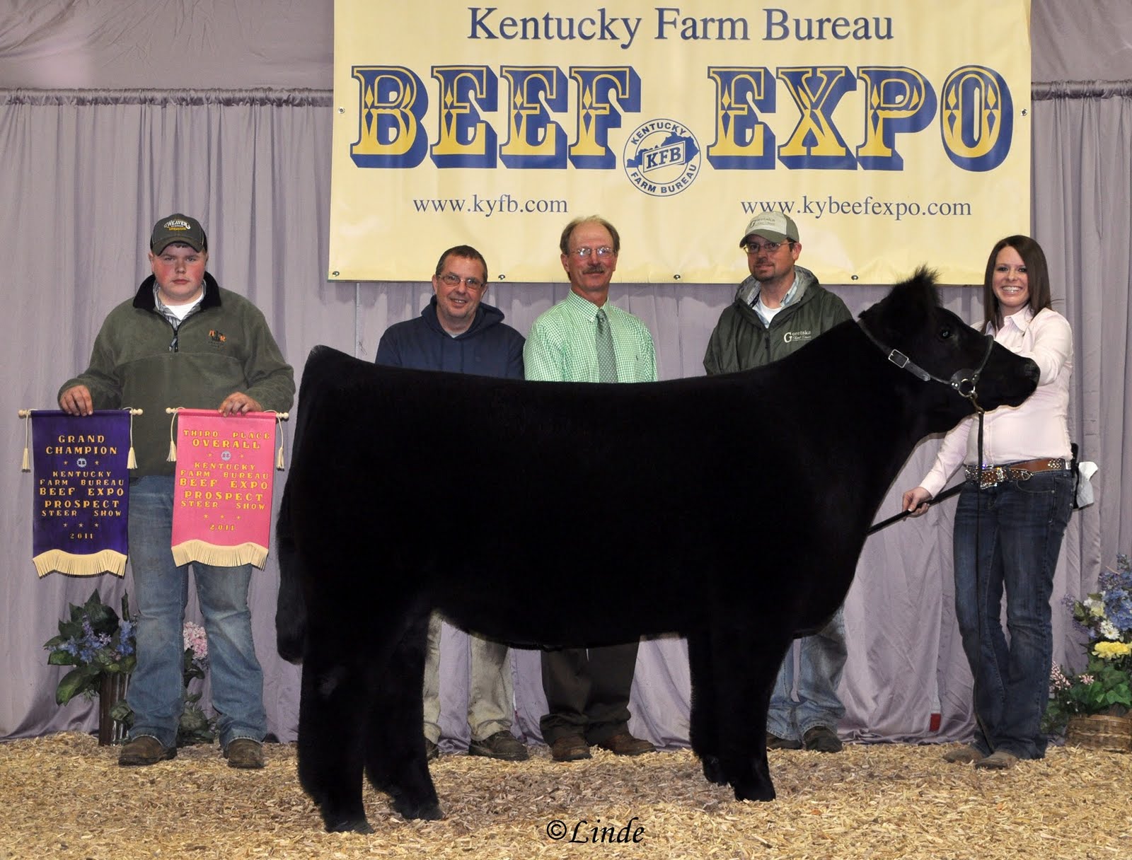 Kentucky Beef Expo Matt Lautner Cattle