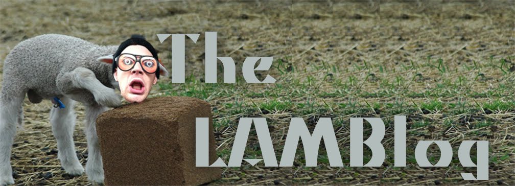 The LAMBlog
