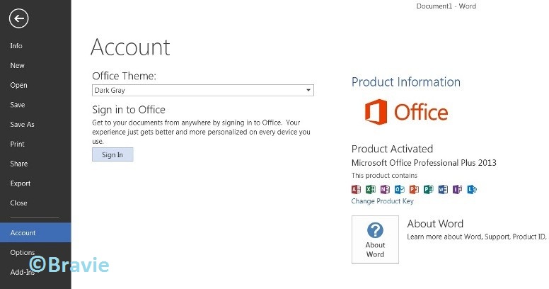 office professional plus 2013 product key