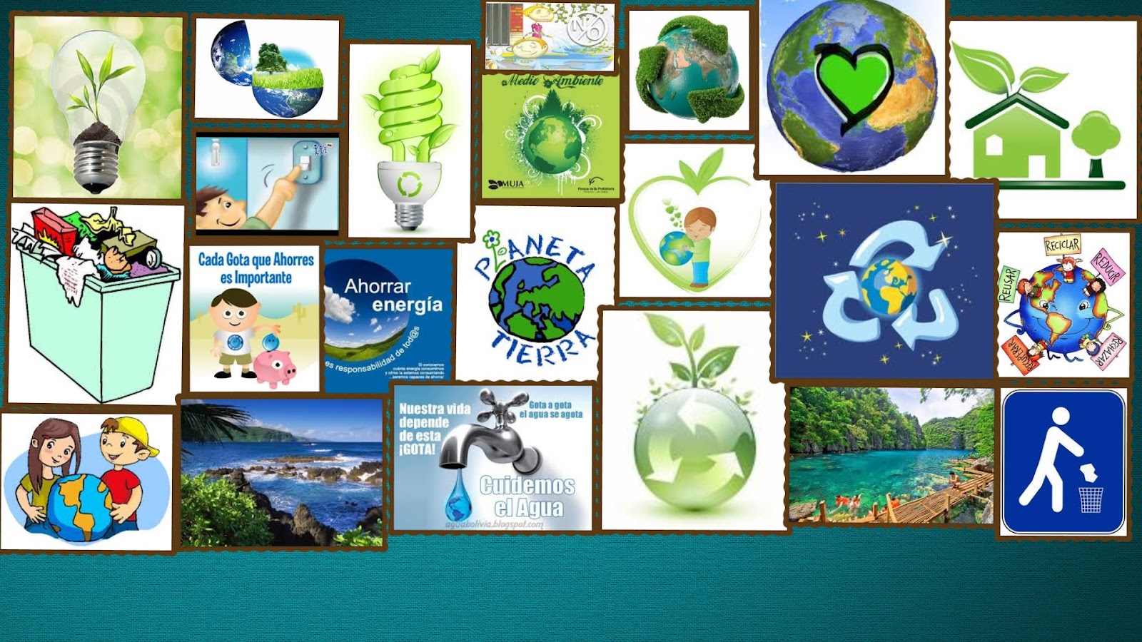 el blog de ana: Collage del medio ambiente el blog de ana: Collage del medio ambiente