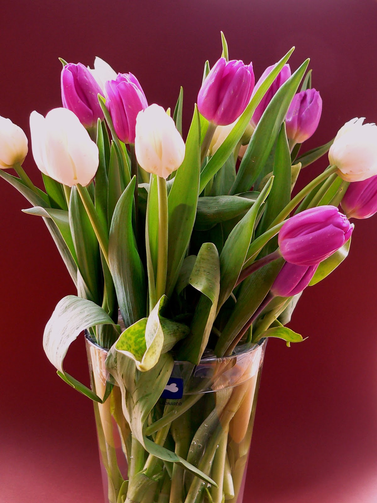 Die kluge Hausfrau: Tulpen in einer Vase arrangieren