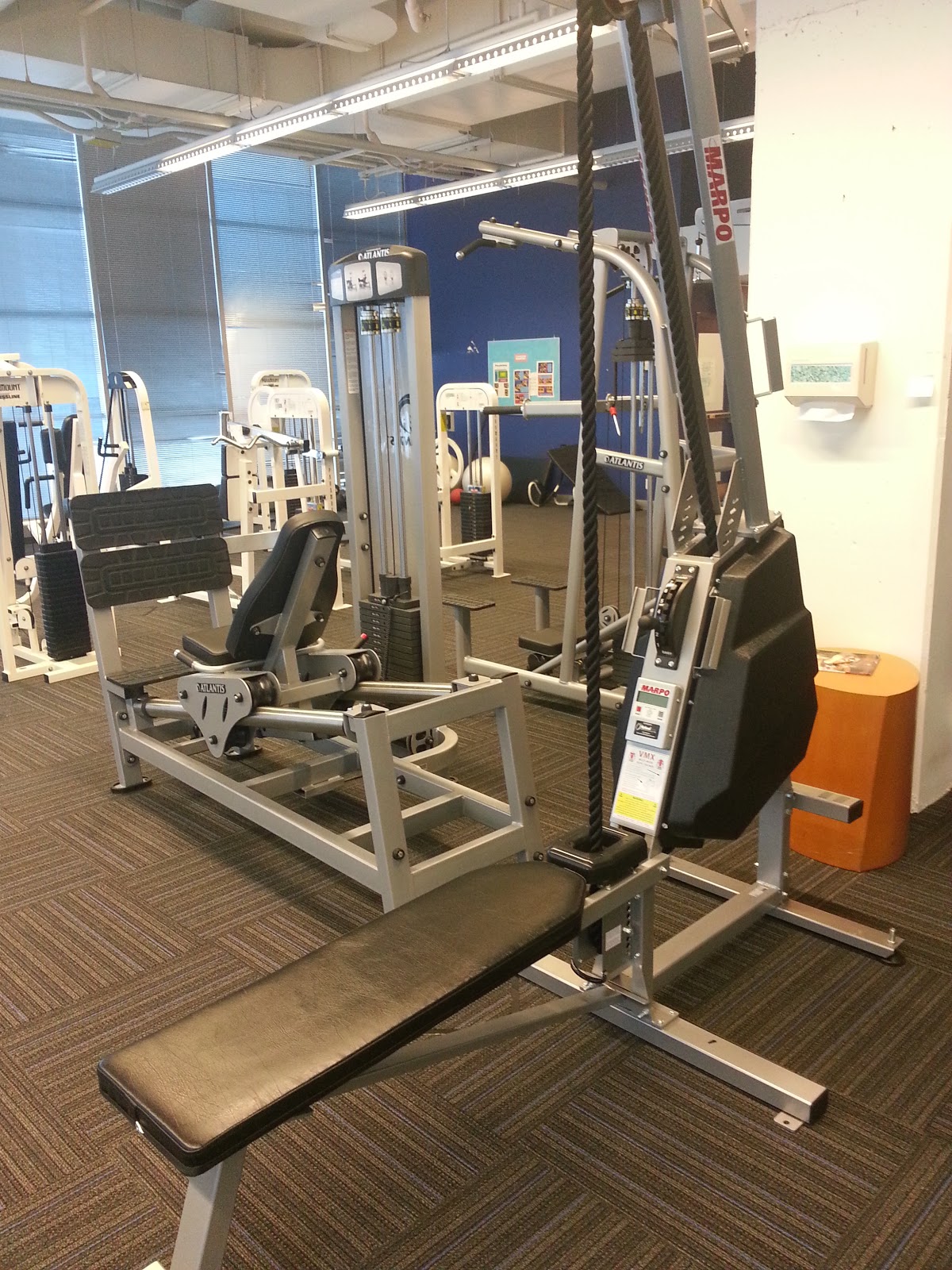 Iron Rogue In The Gym Rope Machine