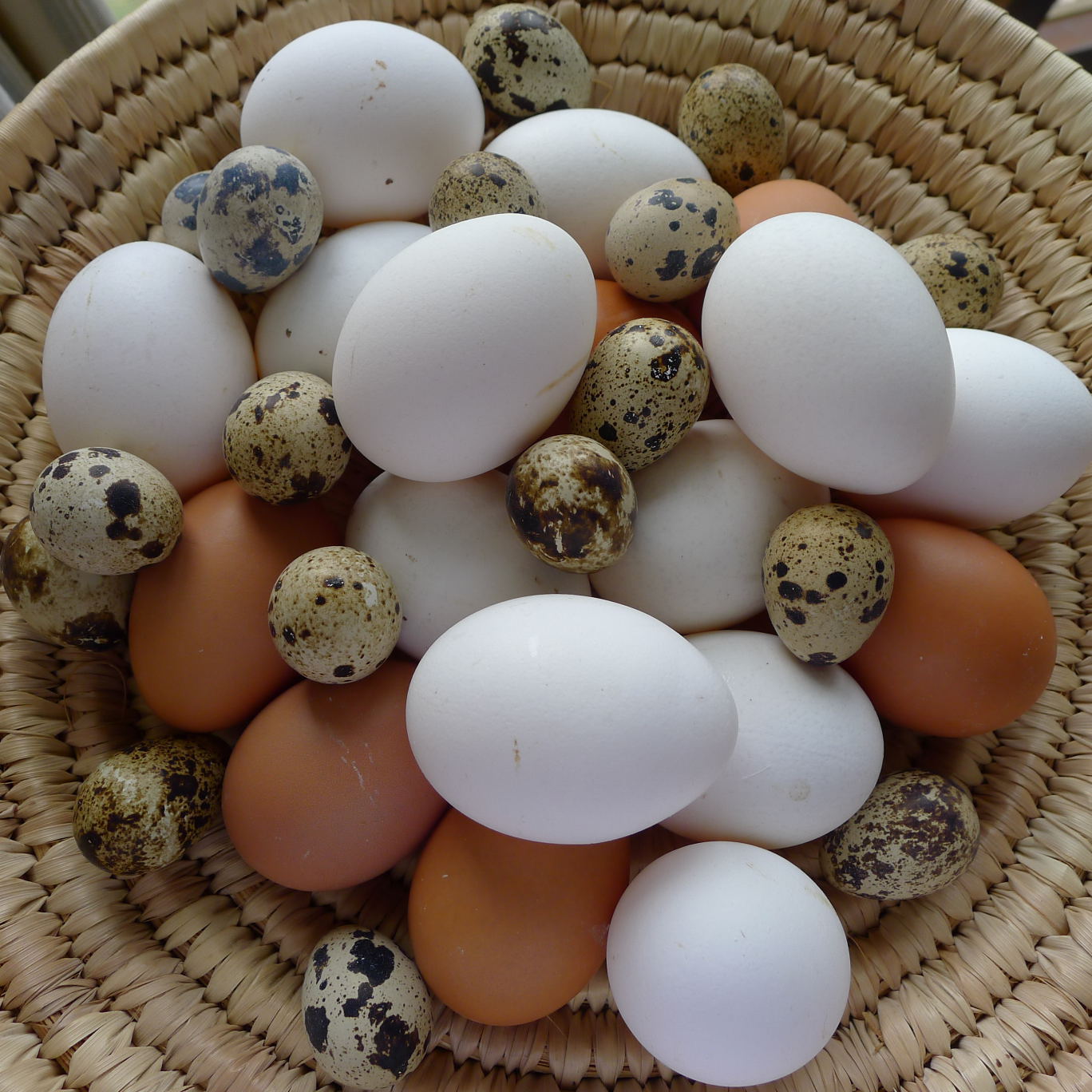 MY KITCHEN IN SPAIN CELEBRATE EGGS