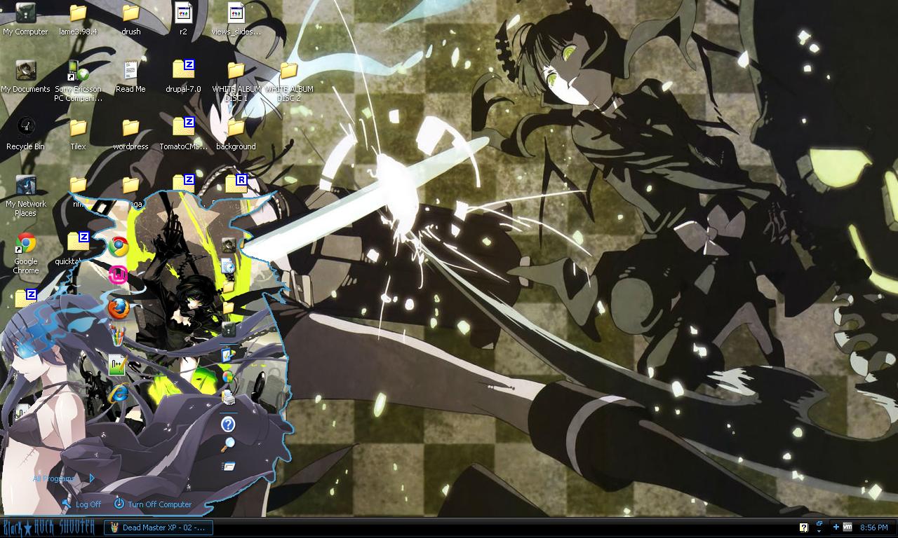 BRS+XP+-+01.JPG