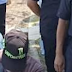 Dua pemandu positif dadah 'kantoi' di plaza tol