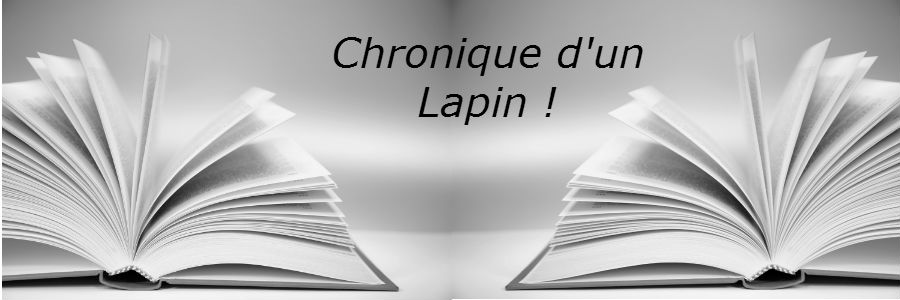 Chronique d'un lapin !