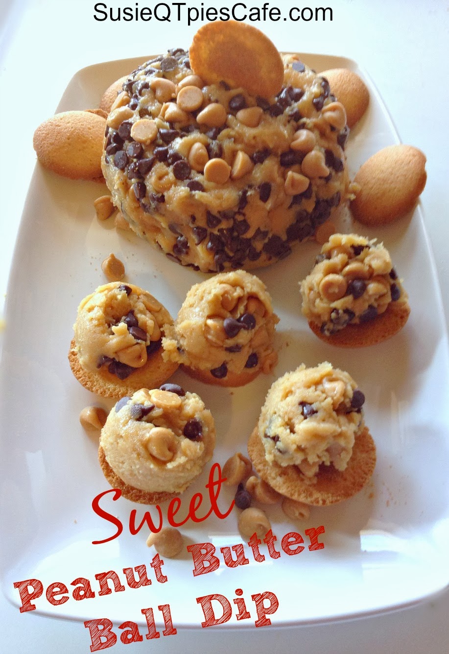 SusieQTpies Cafe Sweet Chocolate Peanut Butter Cheese Ball Recipe