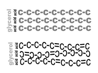 The big 4 building blocks of life 04fig03
