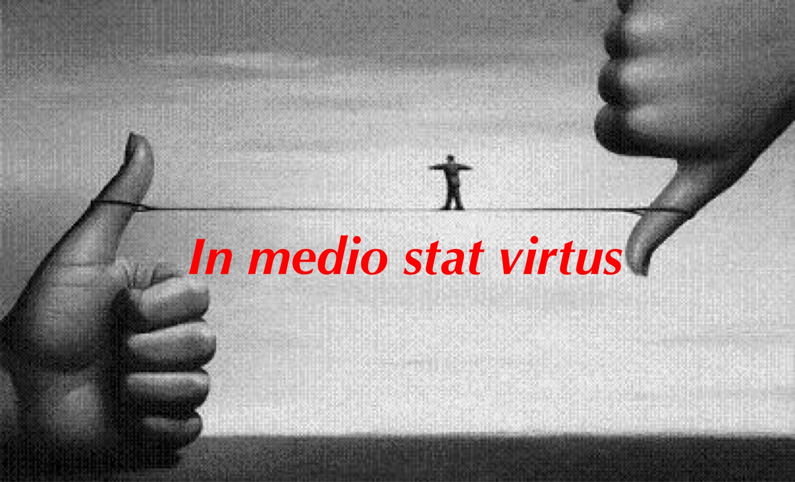 Il mondo Social ,,, - Pagina 2 IMG_2809