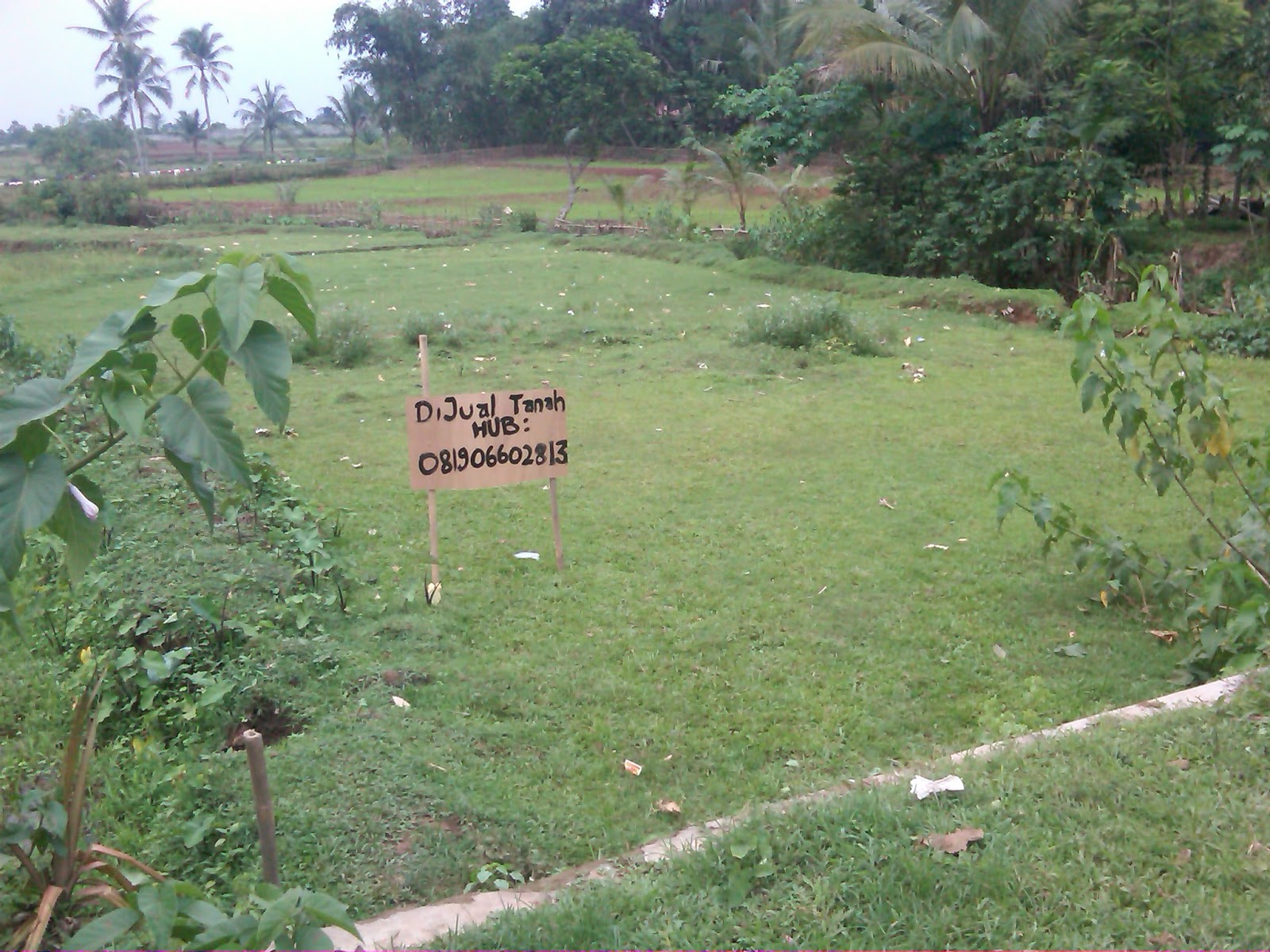 Tanah Murah Dijual Di Kota Pasuruan