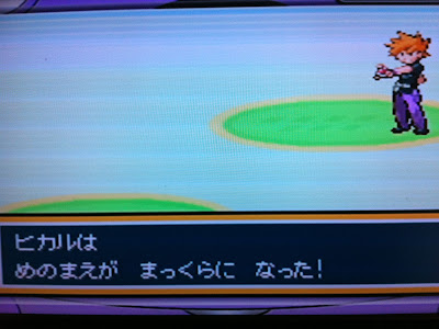 √完了しました! ポケモン かたくな る 289687-ポケモン かたくなる