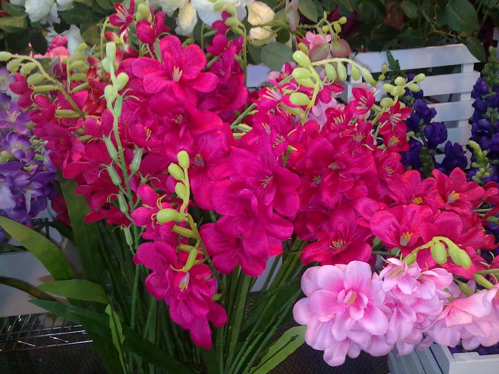 Nani Florist: HIMPUNAN BUNGA-BUNGA ORKID WARNA WARNI