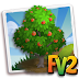 FV2 Mabolo Tree ( tree,elder,heirloom )