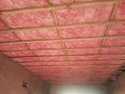 Ceiling Insulation