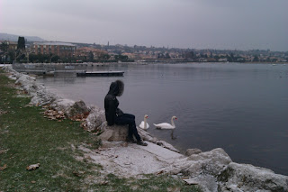 Бардолино зимой. Лебеди на озере Гарда