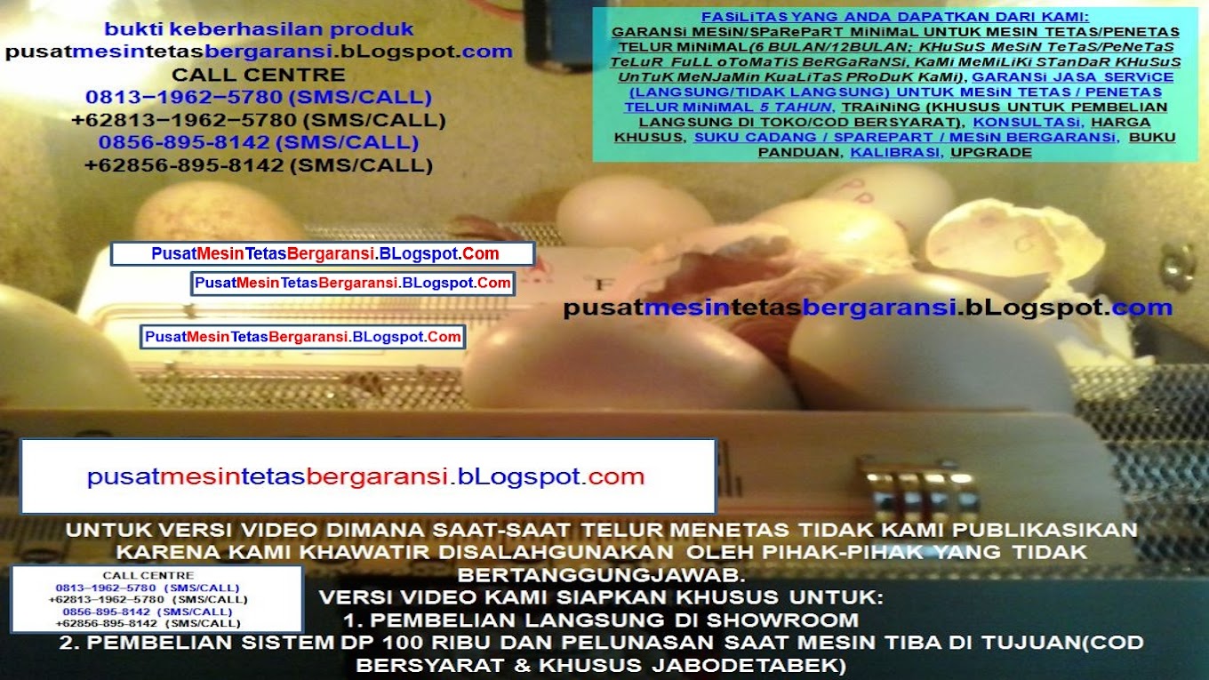 BUKTI KEBERHASiLAN PRODUK PusatMesinTetasBergaransi.BLogspot.Com