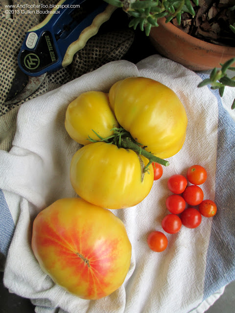 tomato time tracker tomato time tracker