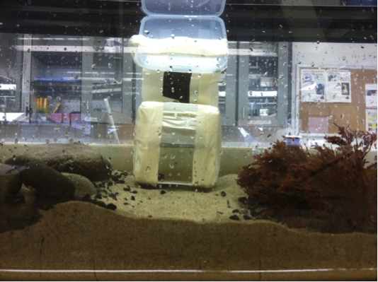 a lab experiment to determine the habitat preferences of sowbugs Ca in order to determine habitat preferences of i designed an experiment to determine which habitat isopods will select when given a. a lab experiment to determine the habitat preferences of sowbugs Ca in order to determine habitat preferences of i designed an experiment to determine which habitat isopods will select when given a.