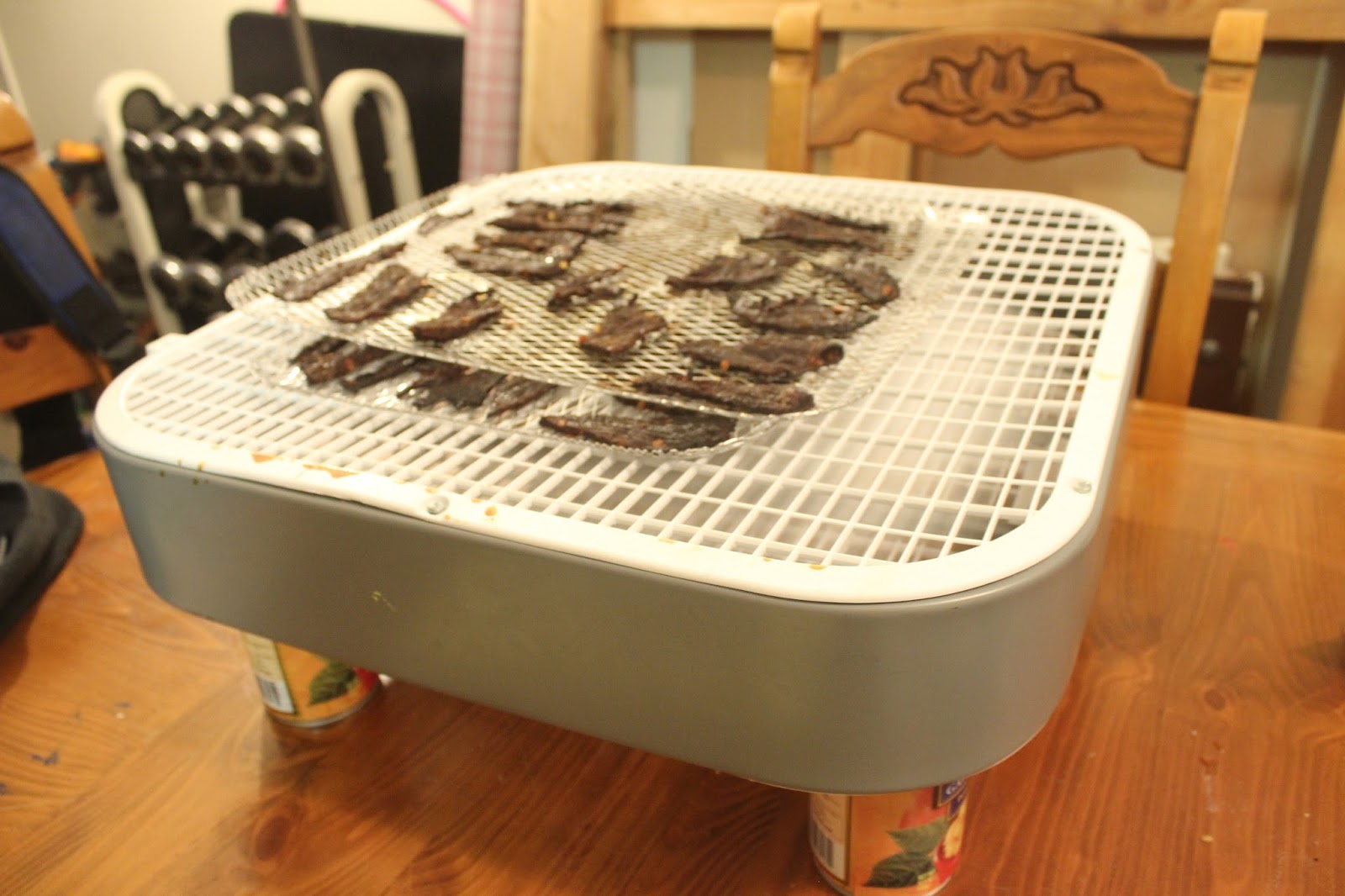 San Diego Man Camp Man Skills Homemade Box Fan Beef Jerky