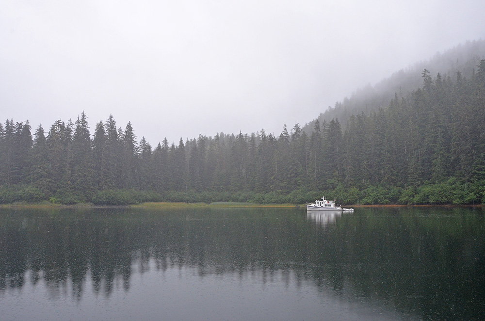Safe Harbour Alaska 2016 Day 70 Swanson Harbor to Sawmill Bay