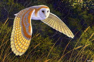 barn-owl-thames