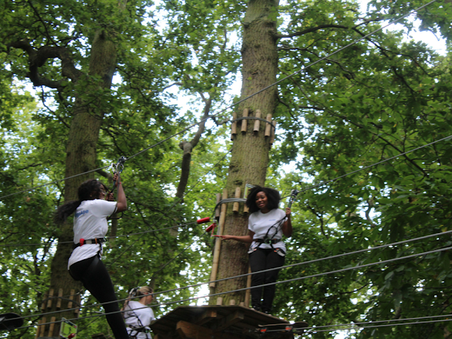 GO APE