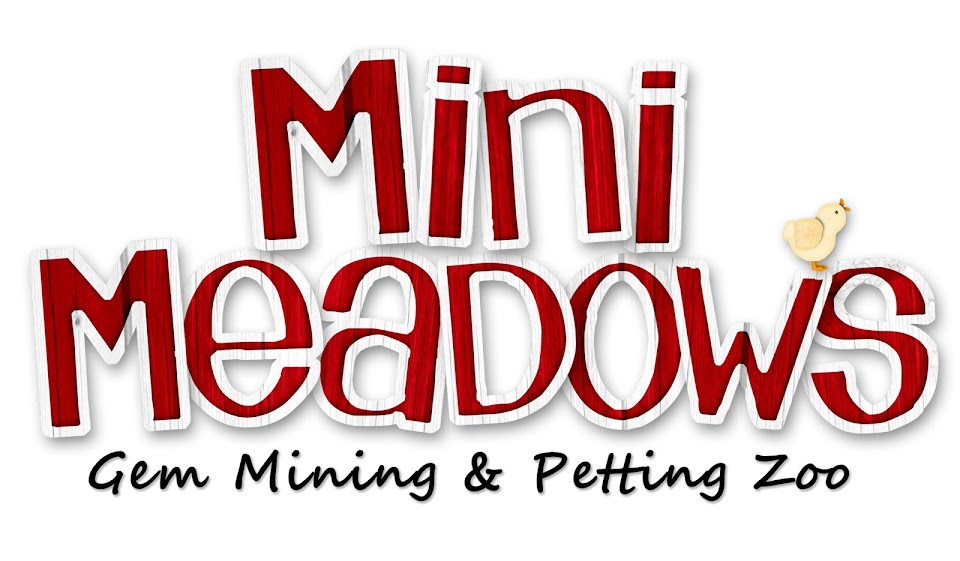 Mini Meadows Gem Mine and Petting Zoo
