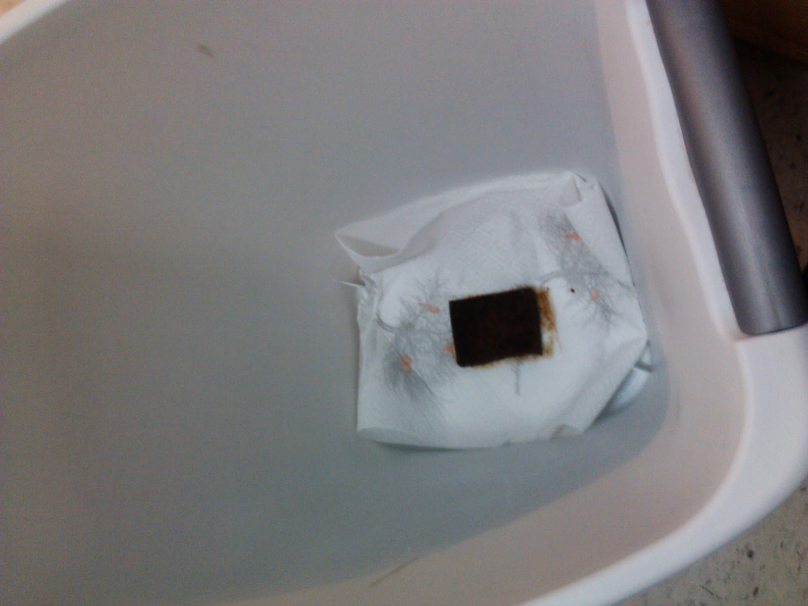 My American Confessions Friday DIY Garbage Can Freshener